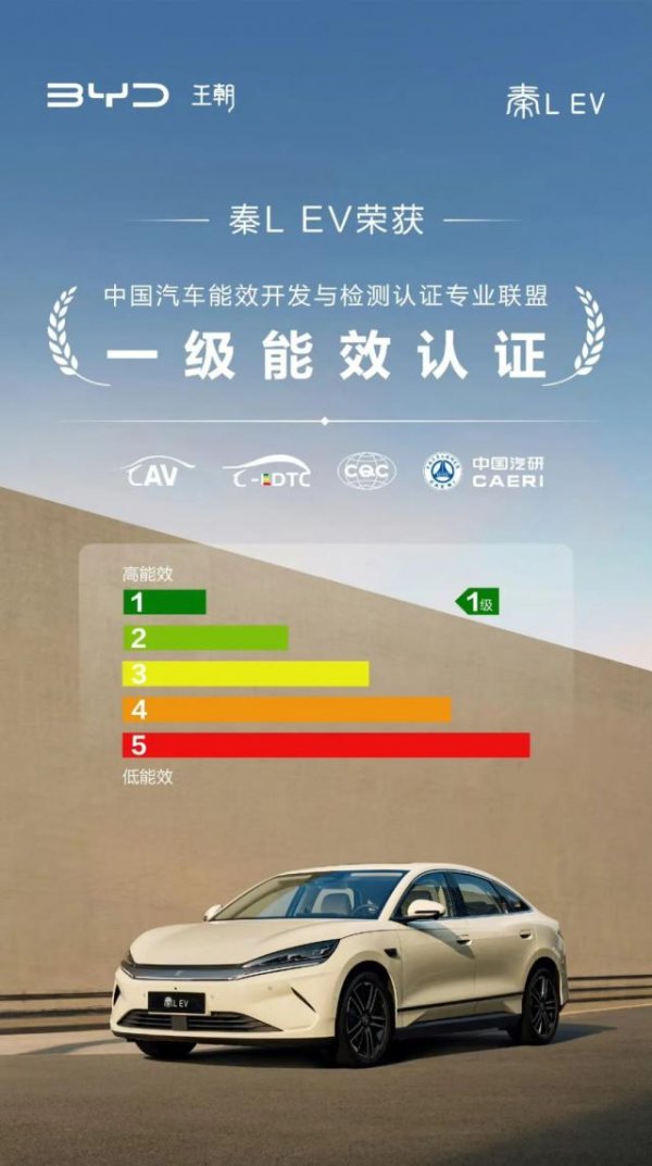 星速配资 选电车越来越像选冰箱，只有“一级能效”才敢买？