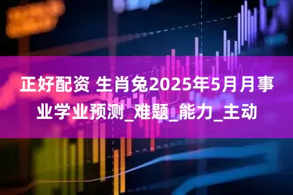 正好配资 生肖兔2025年5月月事业学业预测_难题_能力_主动