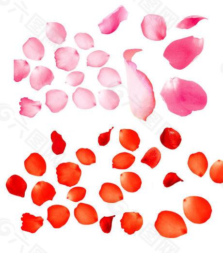 摩根策酪 投资对象估值成谜、关联方隐瞒身份，ST凯利关联交易还有哪些“黑洞”？