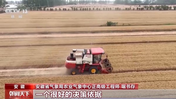 卓越汇 气象预报加上数字化监测 小麦“颗粒归仓”有了“最强大脑”