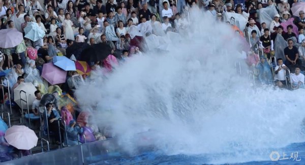 亿策略 城事｜夏季版上海旅游节：来上海海昌海洋公园泼水狂欢，与虎鲸“浇个朋友”