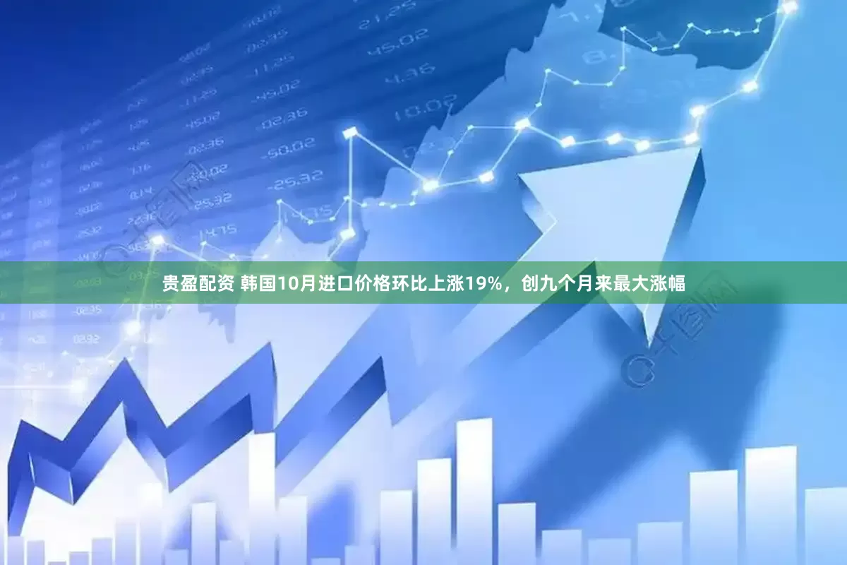 贵盈配资 韩国10月进口价格环比上涨19%，创九个月来最大涨幅
