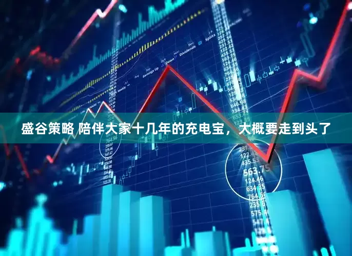 盛谷策略 陪伴大家十几年的充电宝，大概要走到头了
