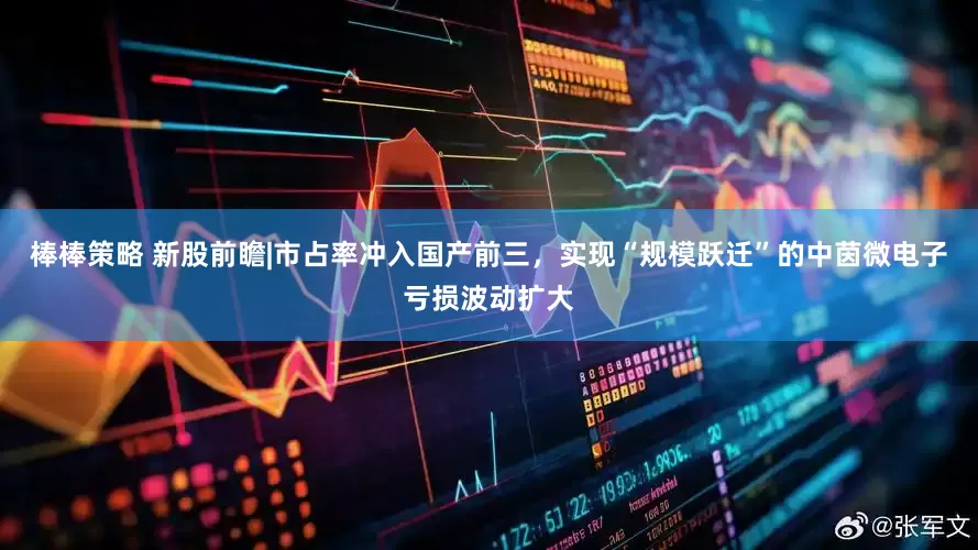 棒棒策略 新股前瞻|市占率冲入国产前三，实现“规模跃迁”的中茵微电子亏损波动扩大